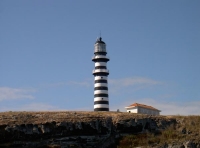 Abrolhos (126).jpg