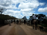 porto seguro excursie bandeirantes IMAG0039.jpg