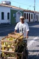 city tour porto seguro SV400151.jpg