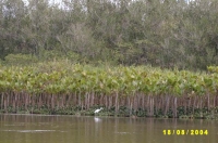 porto seguro excursies SV400048.jpg